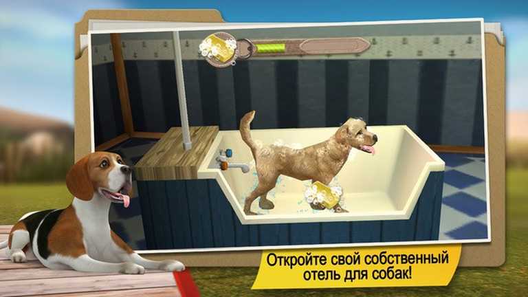 DogHotel Premium